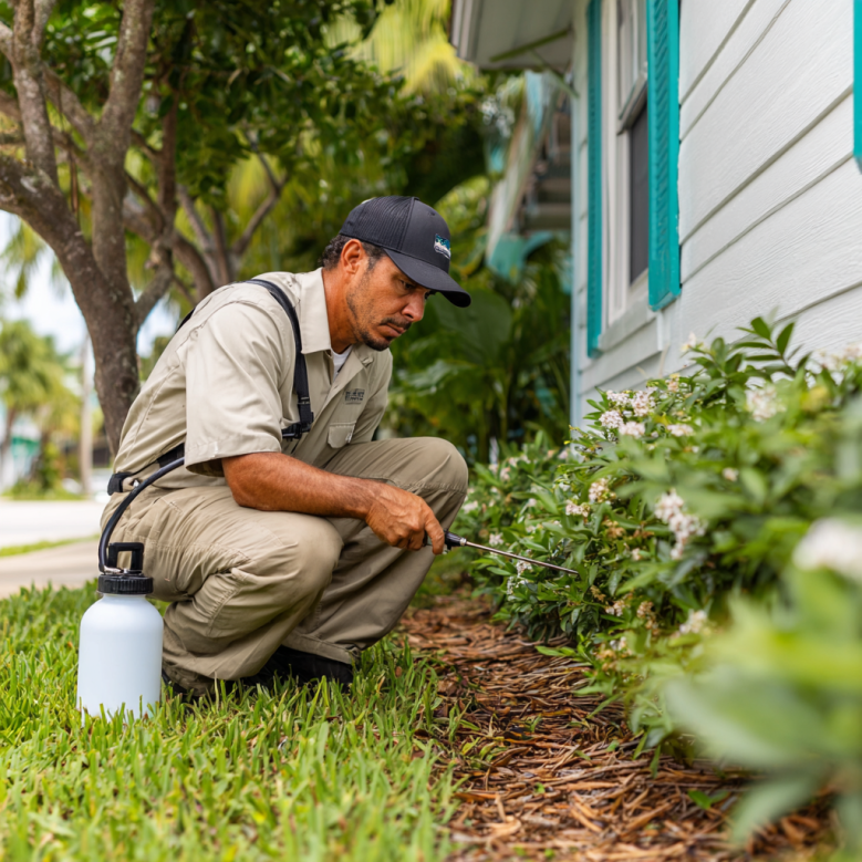 pest controle vero beach fl